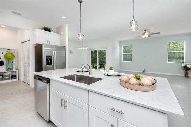 17718 NECTAR FLUME DRIVE, Land O Lakes, FL 34638