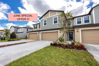 17718 NECTAR FLUME DRIVE, Land O Lakes, FL 34638