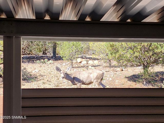 3515 Jack Frost Drive, Silver City, NM 88061