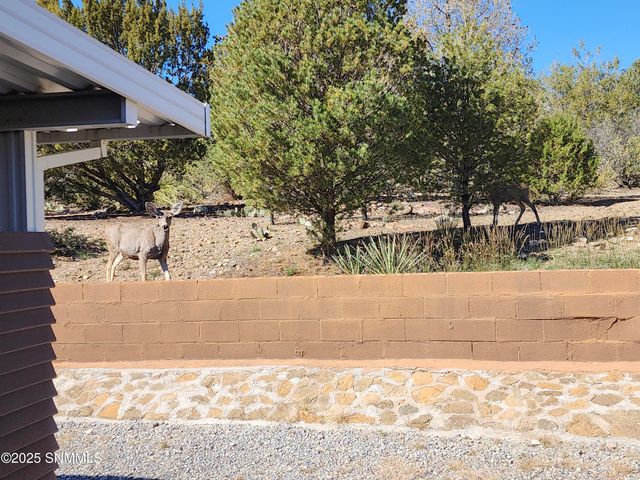 3515 Jack Frost Drive, Silver City, NM 88061