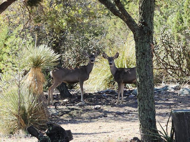 3515 Jack Frost Drive, Silver City, NM 88061