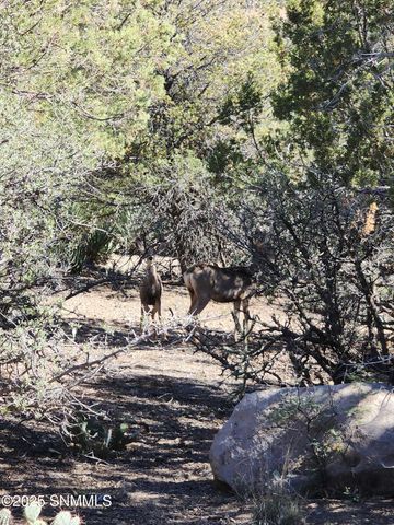 3515 Jack Frost Drive, Silver City, NM 88061