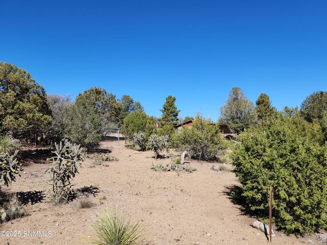 3515 Jack Frost Drive, Silver City, NM 88061