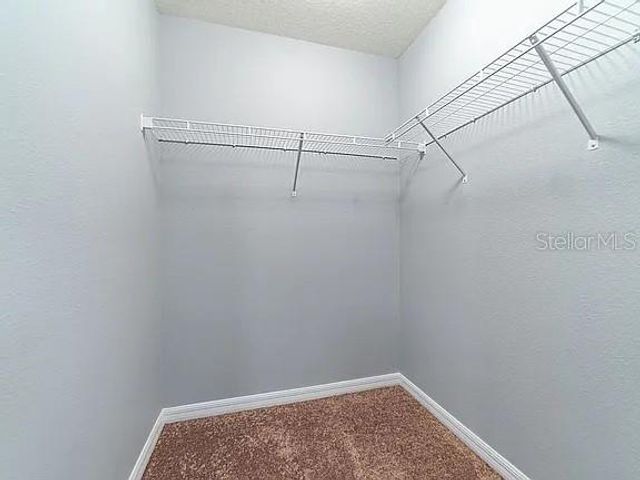 10201 HAWK STORM AVENUE, Tampa, FL 33610