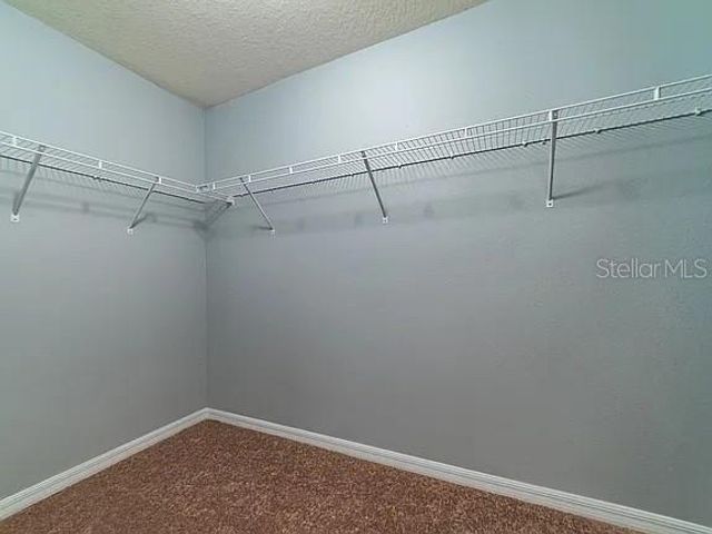 10201 HAWK STORM AVENUE, Tampa, FL 33610