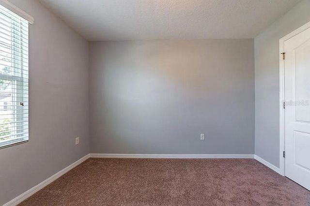 10201 HAWK STORM AVENUE, Tampa, FL 33610