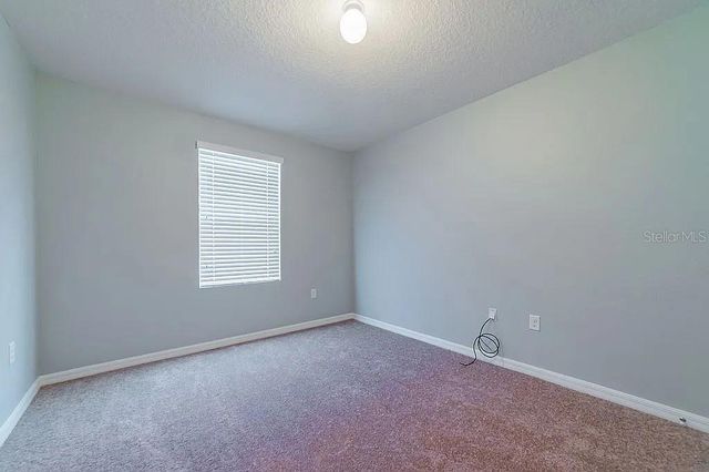 10201 HAWK STORM AVENUE, Tampa, FL 33610