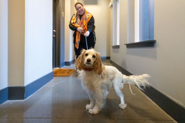 1677 54th Ave N Apt 430, Nashville, TN 37209