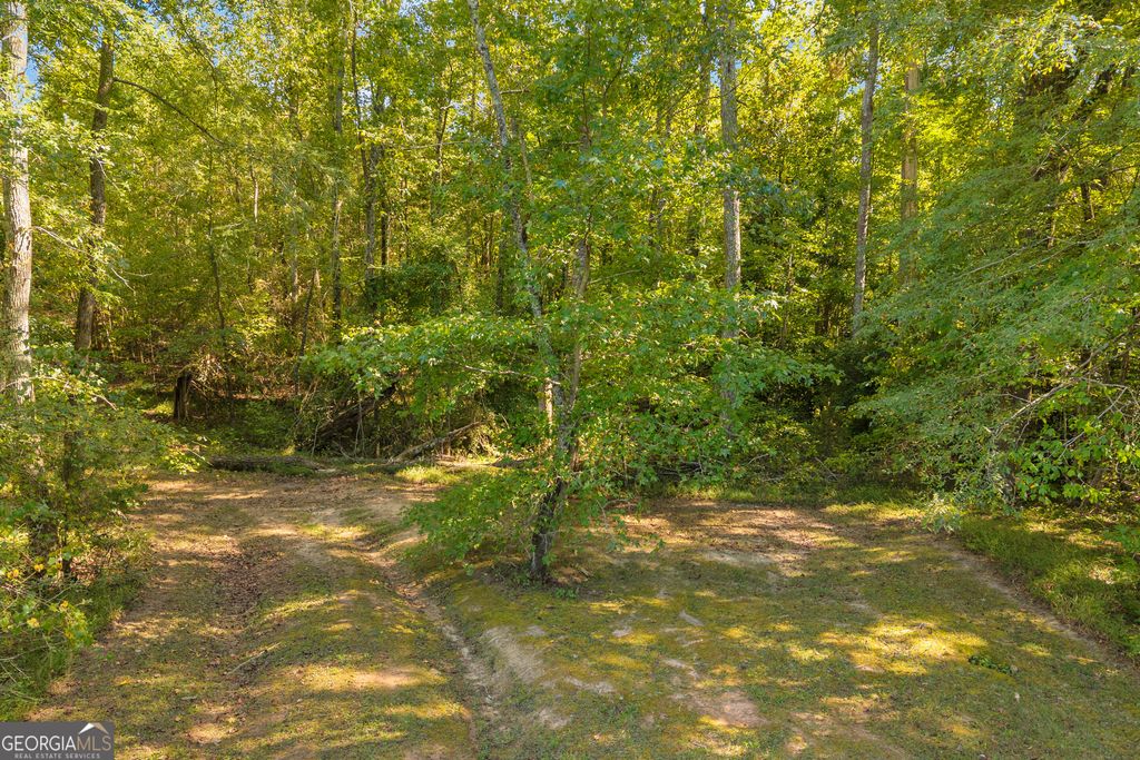 0 Athens Highway, Elberton, GA 30635 — photo 4