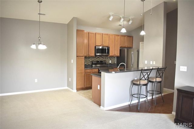 31 Kassebaum Lane 304, St Louis, MO 63129
