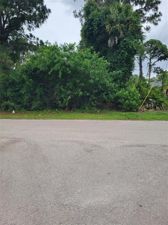 439 Lackey AVE S, LEHIGH ACRES, FL 33974 — photo 3