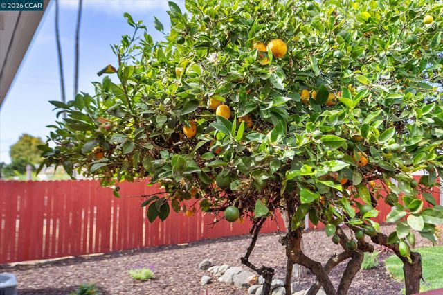 1151 Via Vista, San Lorenzo, CA 94580