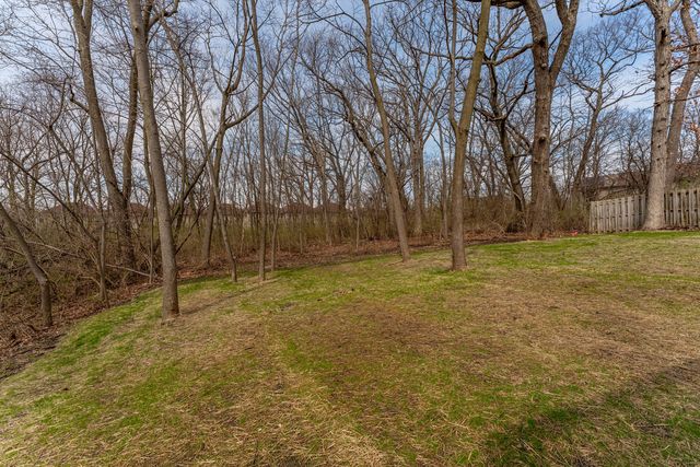 168 Winston Drive, Bolingbrook, IL 60440