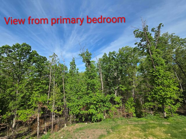 235 Kings Way Drive, Marshfield, MO 65706