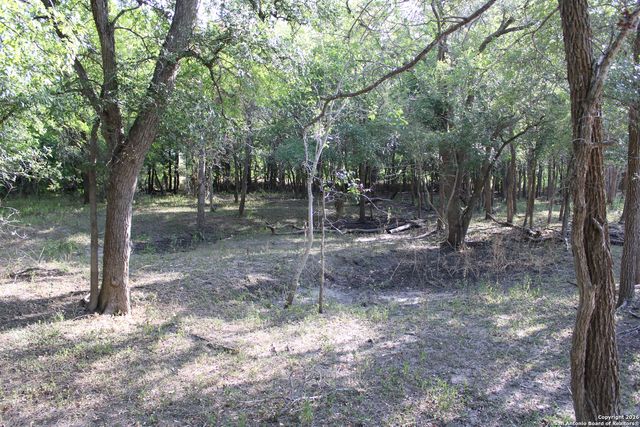 760 N GREYTOWN RD, St Hedwig, TX 78152