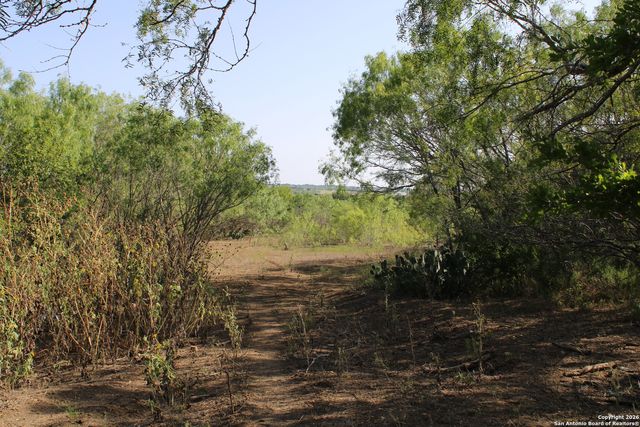 760 N GREYTOWN RD, St Hedwig, TX 78152