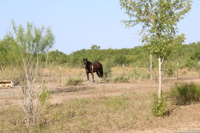 760 N GREYTOWN RD, St Hedwig, TX 78152