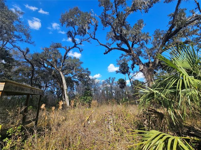 HIGGINSON ROAD, Zephyrhills, FL 33540