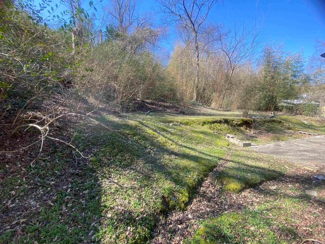 303 Bower Street, Hot Springs, AR 70901