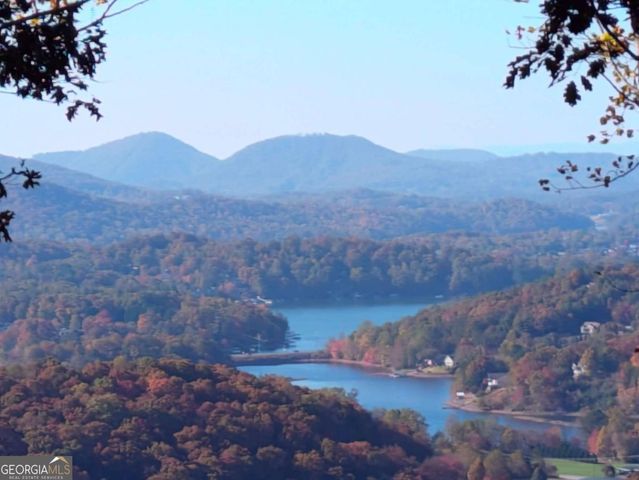 22 Buckhead Hills 22, Hiawassee, GA 30546