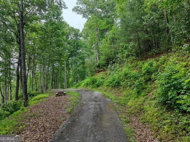 22 Buckhead Hills 22, Hiawassee, GA 30546