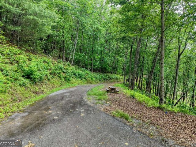 22 Buckhead Hills 22, Hiawassee, GA 30546