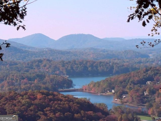 22 Buckhead Hills 22, Hiawassee, GA 30546