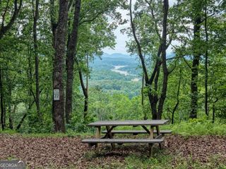 22 Buckhead Hills 22, Hiawassee, GA 30546