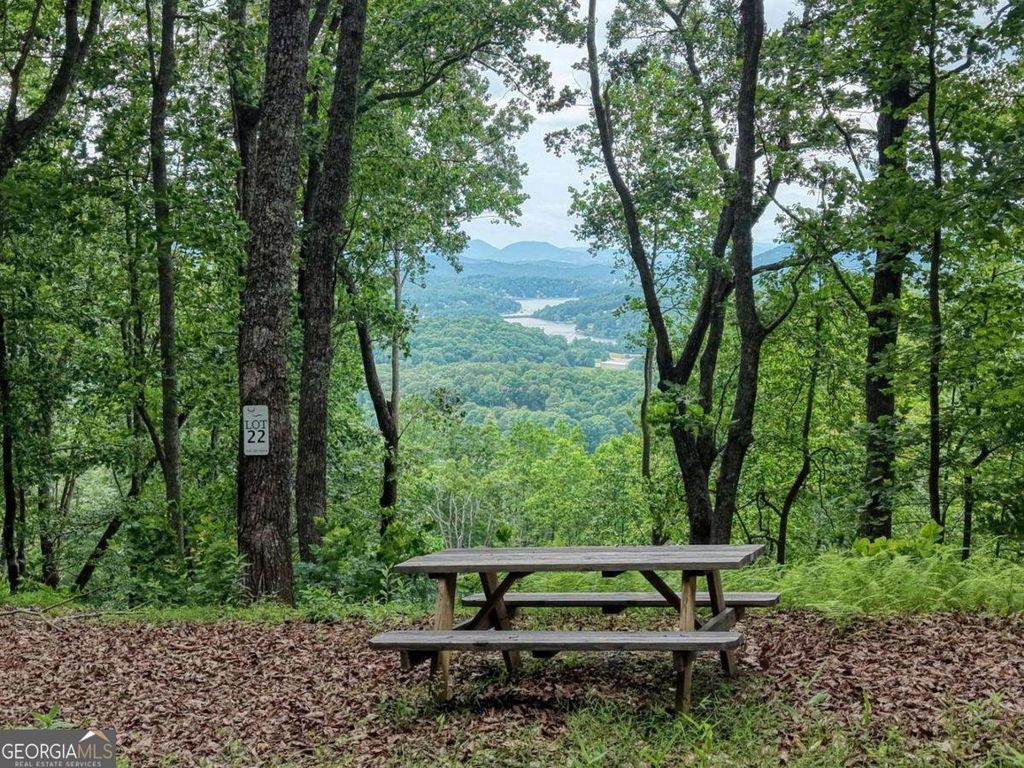 22 Buckhead Hills 22, Hiawassee, GA 30546