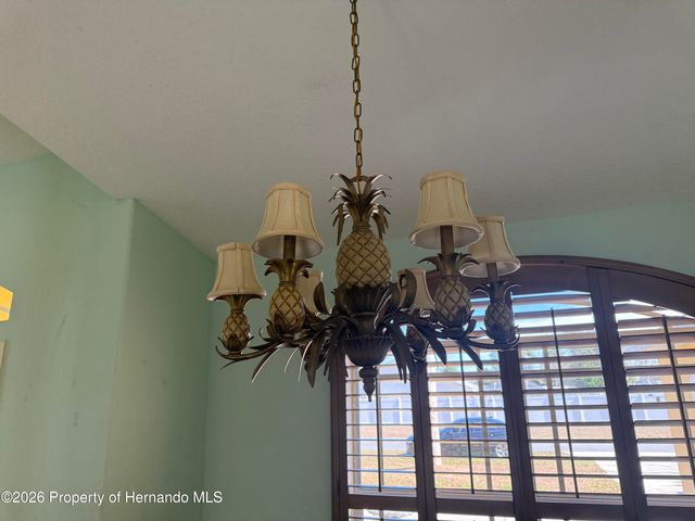 10432 Lafoy Road, Spring Hill, FL 34608