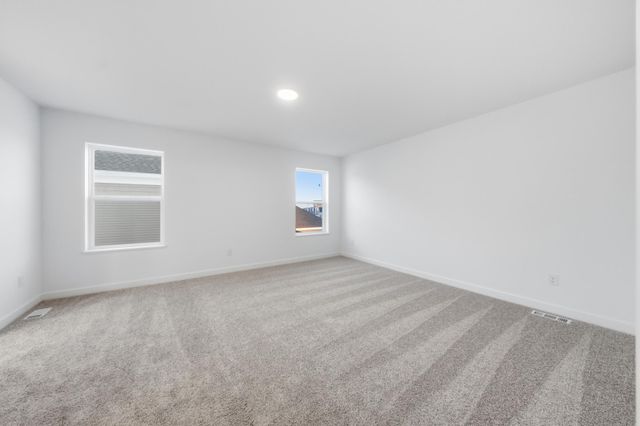 1919 Ironwood Drive, Carver, MN 55315