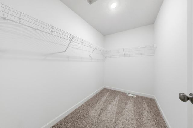 1919 Ironwood Drive, Carver, MN 55315