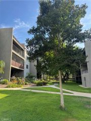 242 E Fern 205, Redlands, CA 92373
