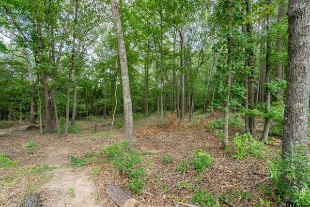 9299 Caddo Ridge Cv, Tyler, TX 75703