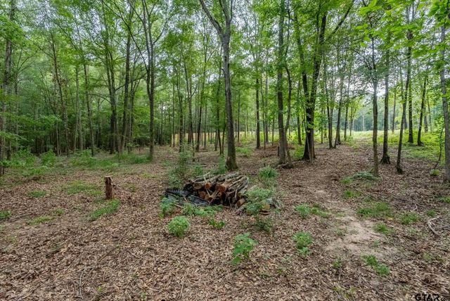 9299 Caddo Ridge Cv, Tyler, TX 75703