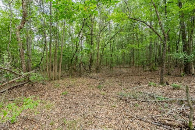 9299 Caddo Ridge Cv, Tyler, TX 75703
