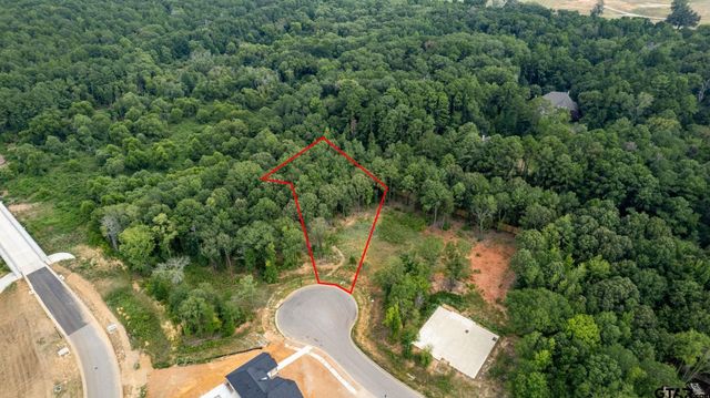 9299 Caddo Ridge Cv, Tyler, TX 75703