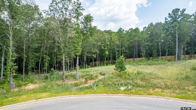 9299 Caddo Ridge Cv, Tyler, TX 75703