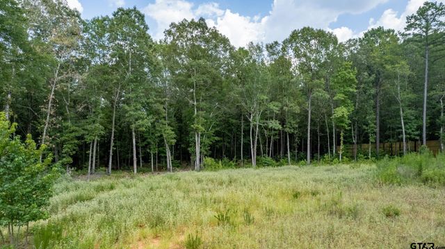 9299 Caddo Ridge Cv, Tyler, TX 75703