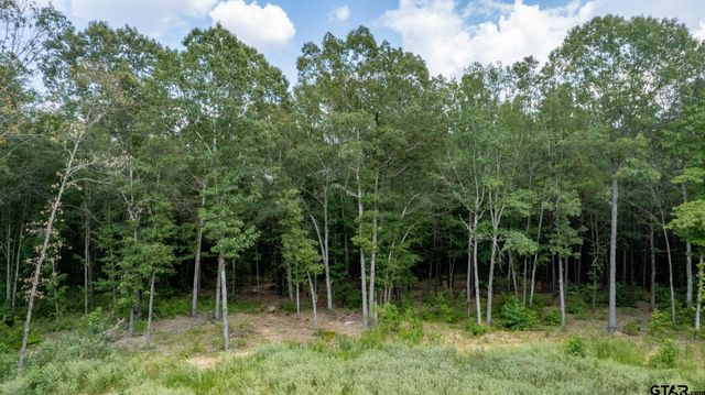 9299 Caddo Ridge Cv, Tyler, TX 75703