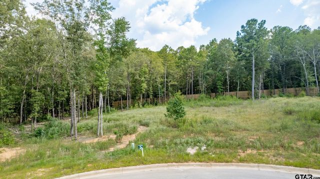 9299 Caddo Ridge Cv, Tyler, TX 75703