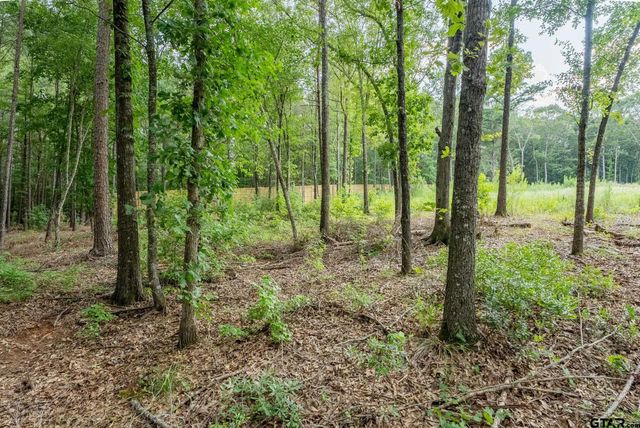 9299 Caddo Ridge Cv, Tyler, TX 75703
