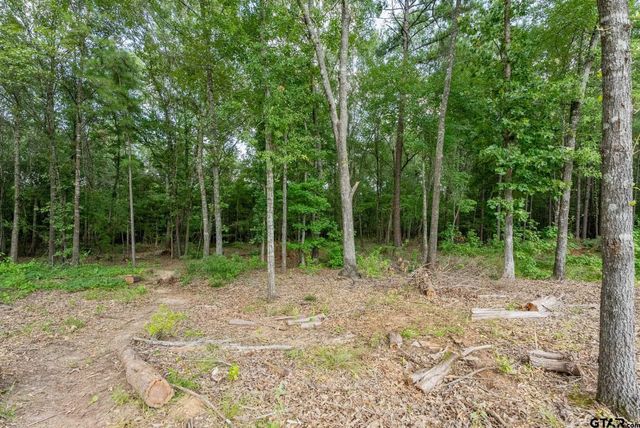 9299 Caddo Ridge Cv, Tyler, TX 75703