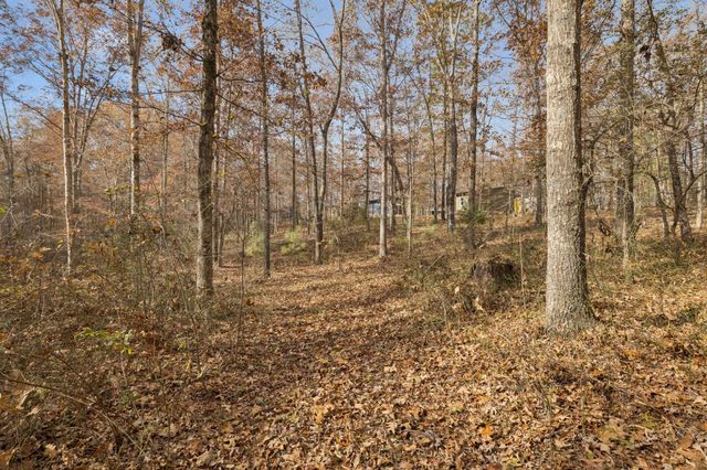 3158 Summertown Hwy, Summertown, TN 38483