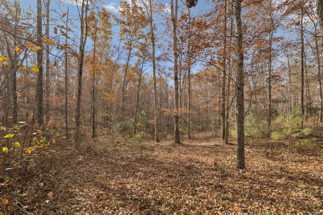 3158 Summertown Hwy, Summertown, TN 38483