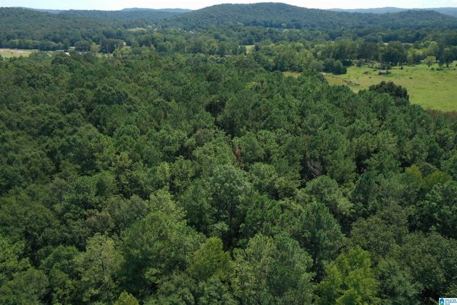 390 JAMESTOWN WAY, Anniston, AL 36207