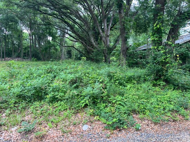 163 & 141A Pelt, Leesville, LA 71446