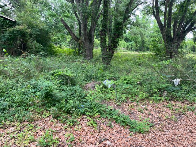 163 & 141A Pelt, Leesville, LA 71446