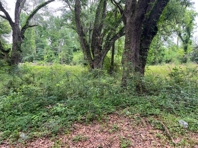 163 & 141A Pelt, Leesville, LA 71446