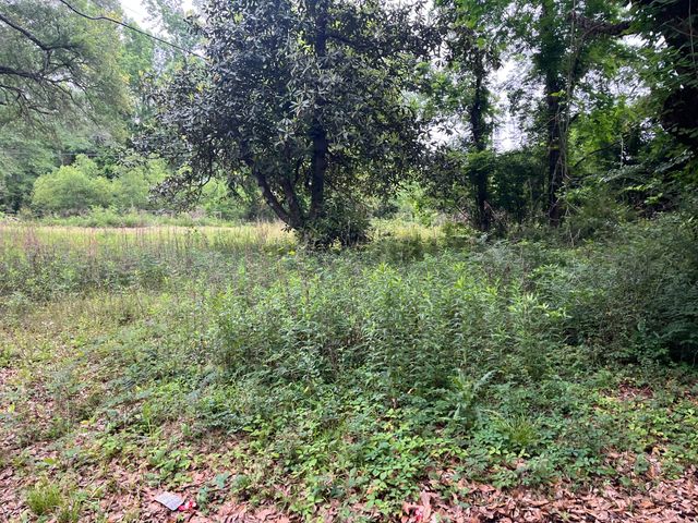 163 & 141A Pelt, Leesville, LA 71446